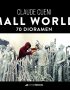Small Worlds